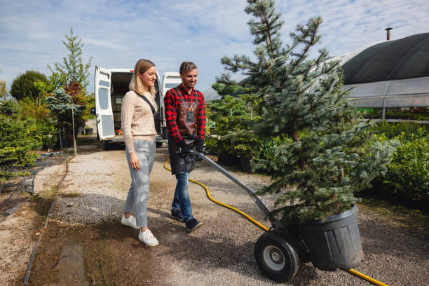 Best Residential Tree Removal  in La Mesilla, NM